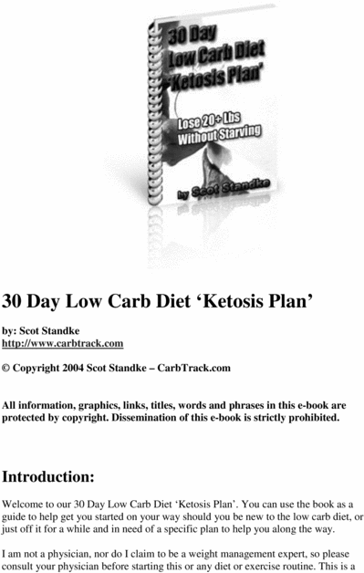 Product picture 30 Day Low Carb Diet. The Ketosis PLan!